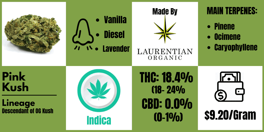 pink kush laurentian organic review info block