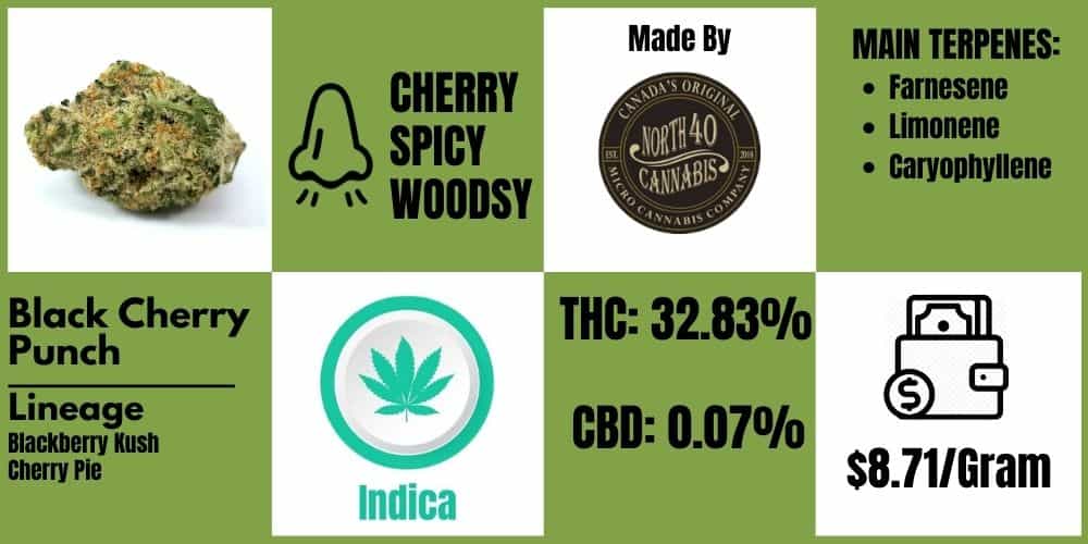 black cherry punch strain review info block