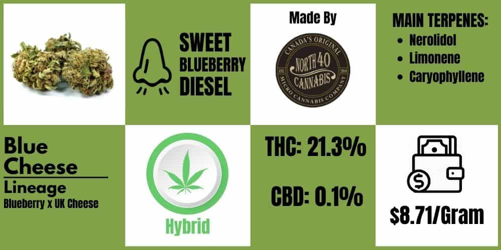 blue cheese by north 40 cannabis info block