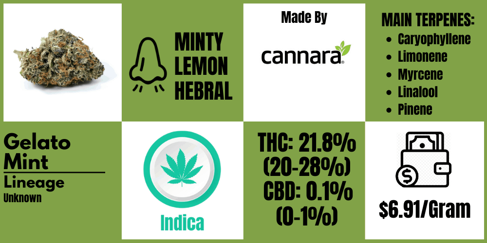 gelato mint pheno #5 review info block