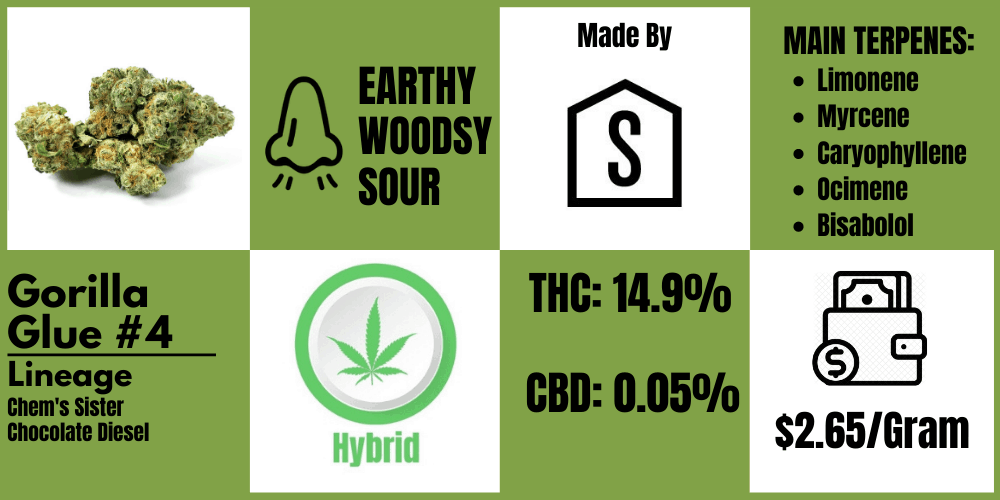 gg4 strain review by shelter, info block