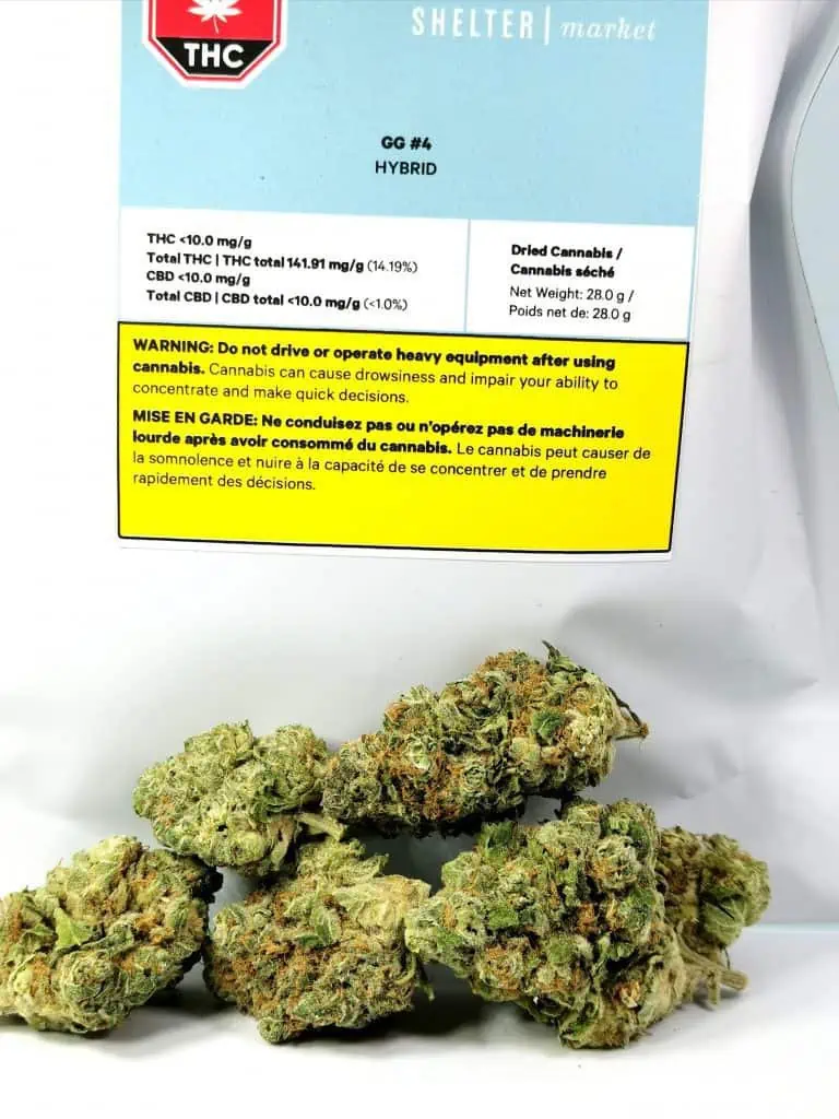 gg4 by shelter market