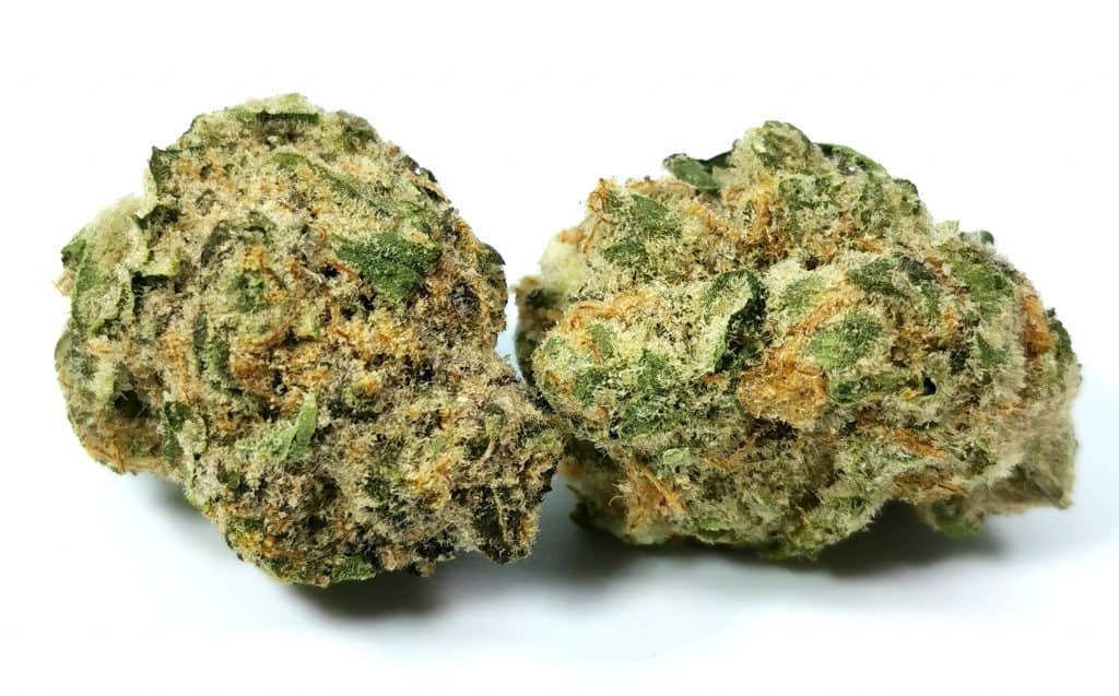 black cherry punch strain review picture of cannabis