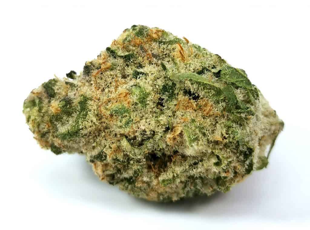 bcp strain review