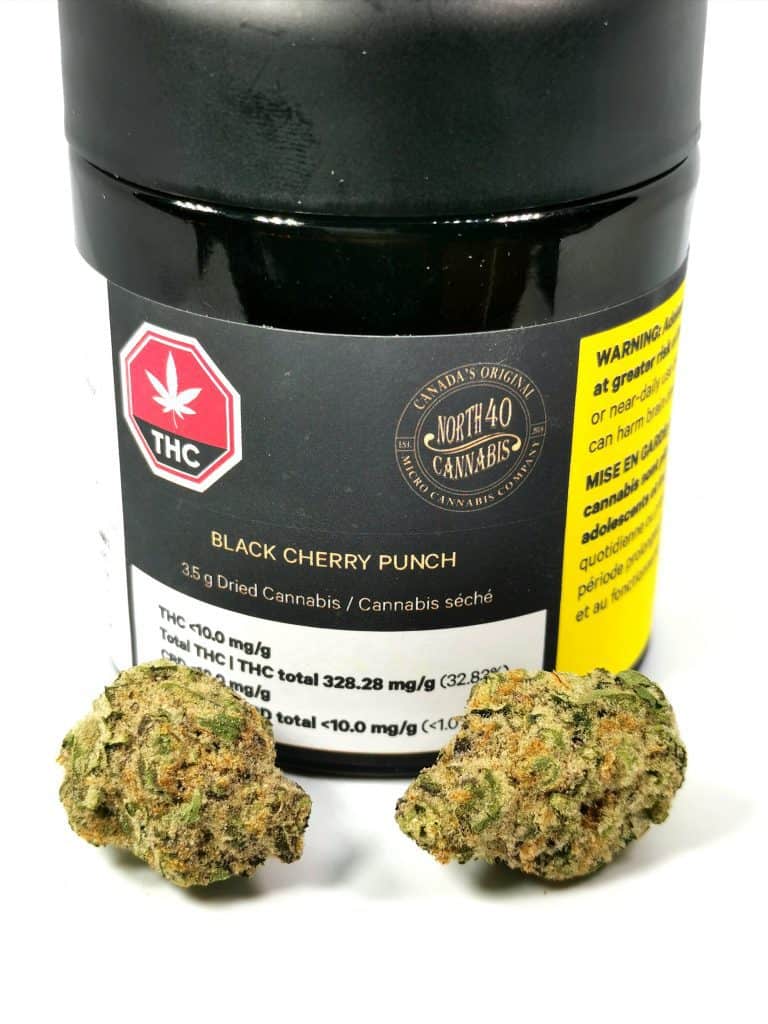 black cherry punch strain review picture of container and cannabis