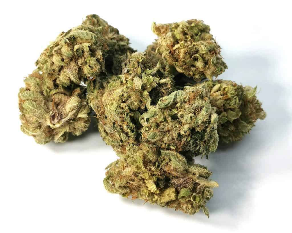 blue cheese north 40 cannabis picture of cannabis
