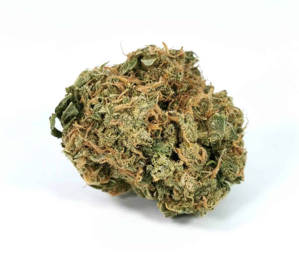 Ultra sour wildlife cannabis strain review