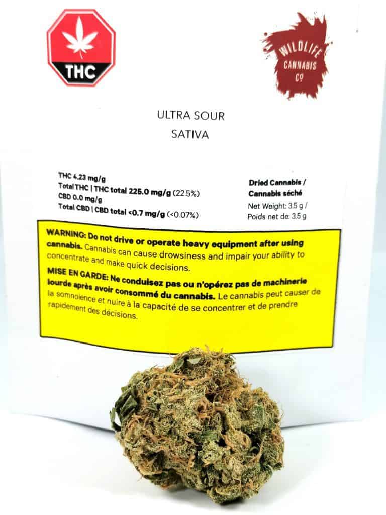 Ultra Sour Wildlife Cannabis cannabissensei.com