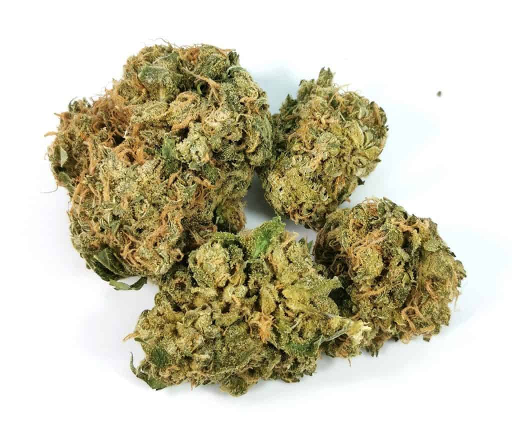 Ultra Sour Wildlife Cannabis picture of cannabis cannabisensei.com