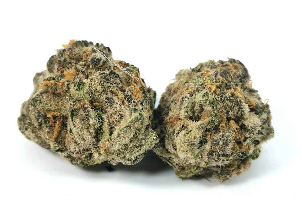 Platinum Cake made by Pure Laine Cannabis