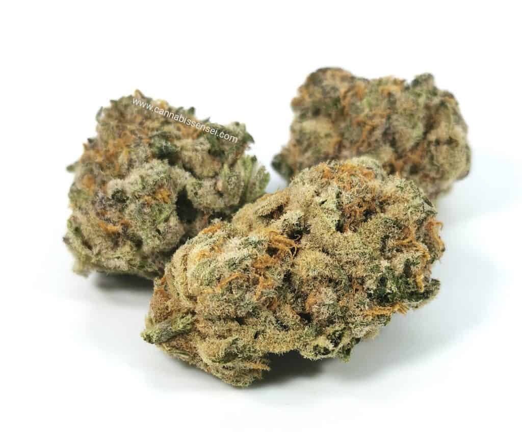 platinum cake review
