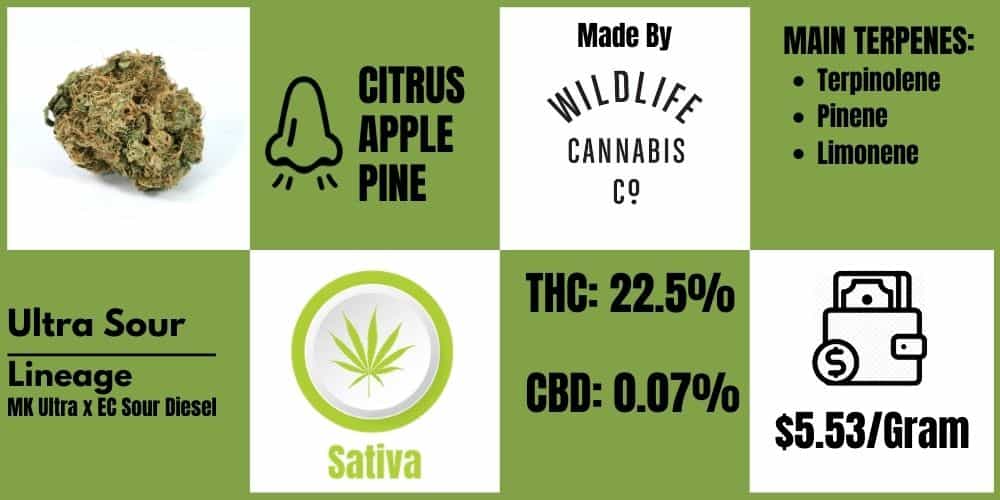 Ultra sour wildlife cannabis cannabissensei.com
