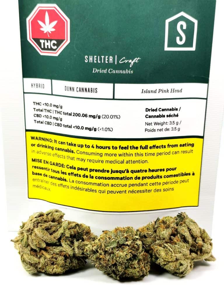 Island Pink Head review picture of cannabis and packaging