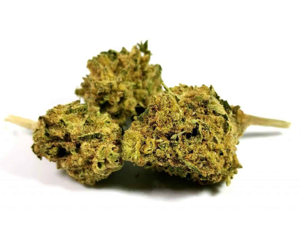 Mendo Breath (Kizos)