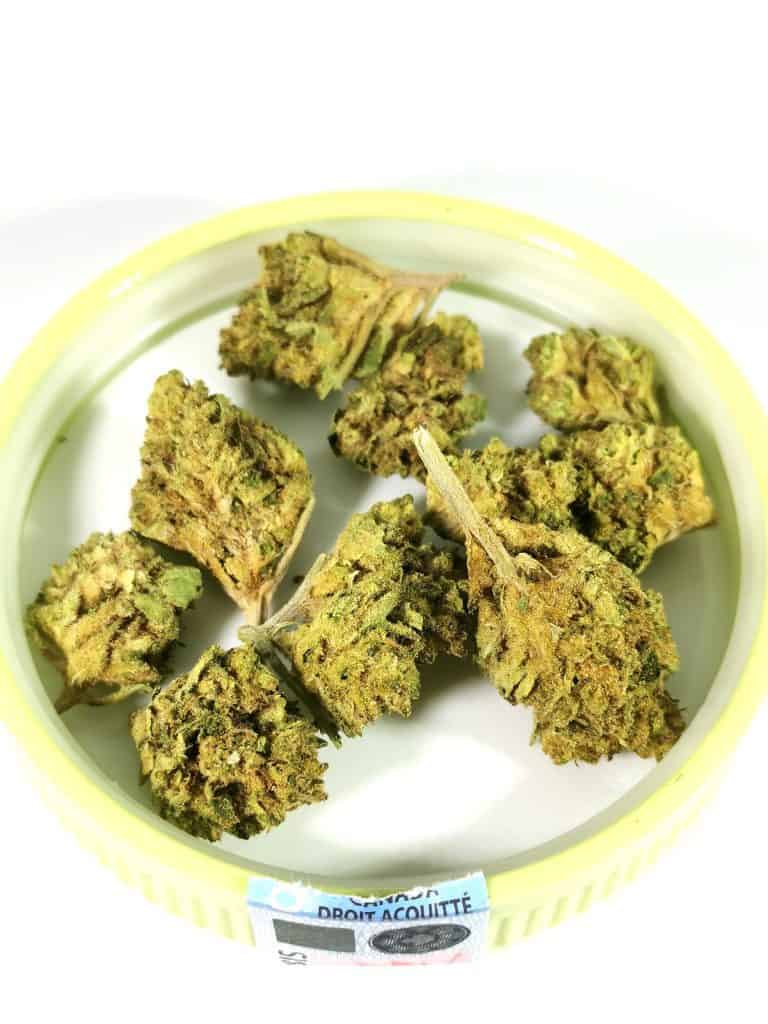 Mendo Breath (Kizos) picture of cannabis