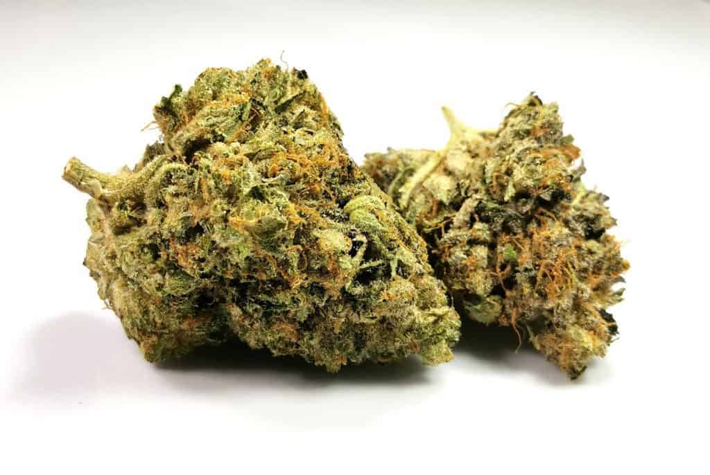 Tom Ford Island Pink review picture of cannabis