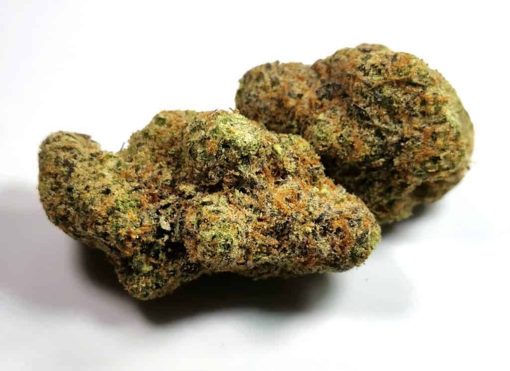 Cherry Punch by Organnicraft