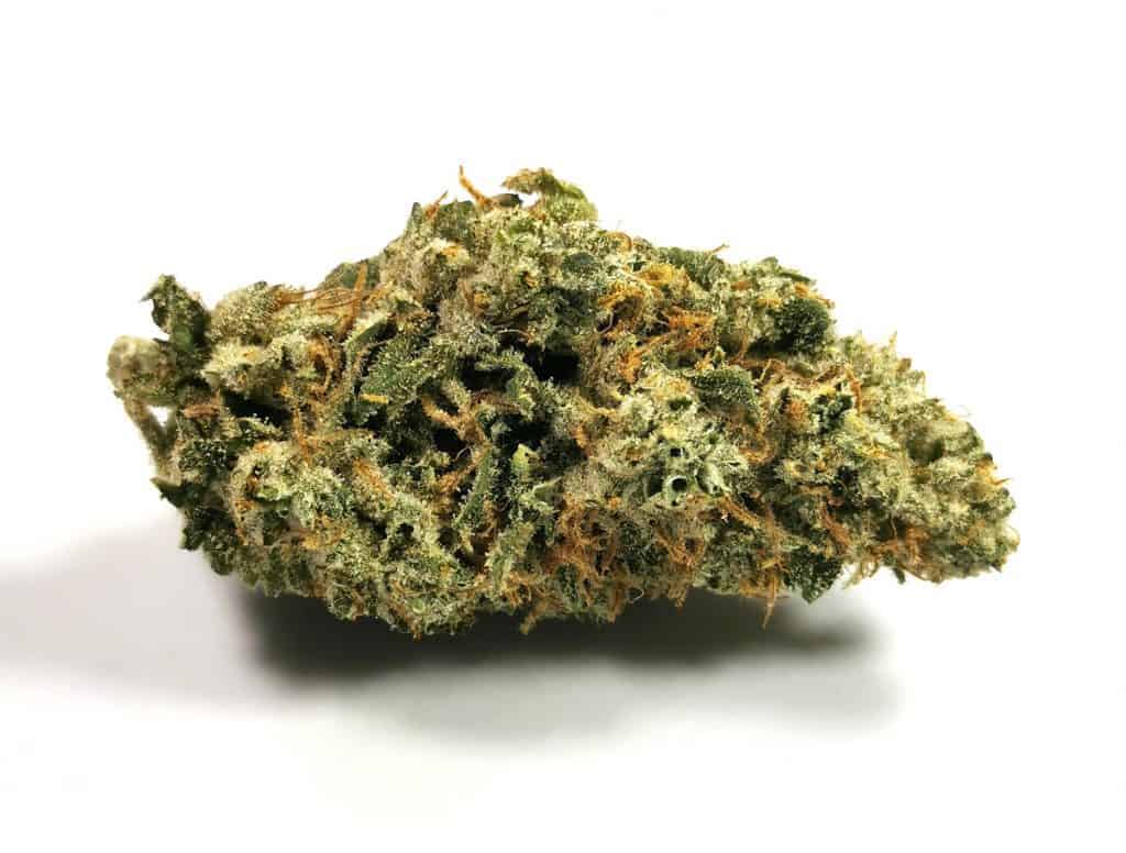 Cuban Linx Strain Review (Tribal) - Cannabis Sensei