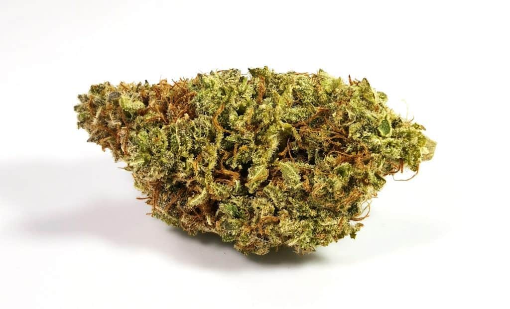 lilac diesel review