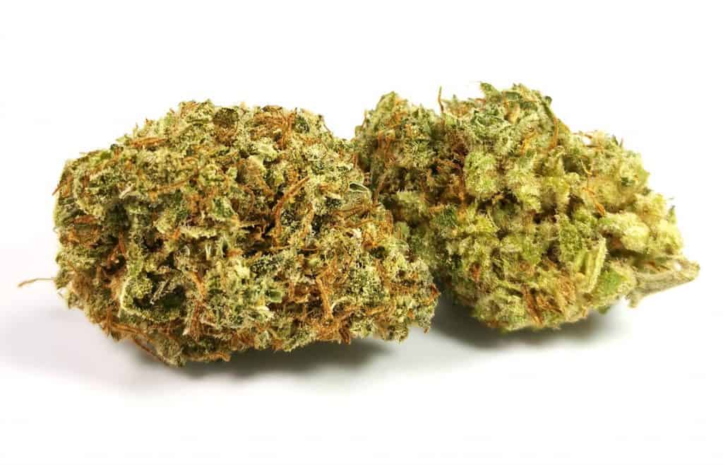 Lilac Diesel review, Organnicraft, picture of cannabis