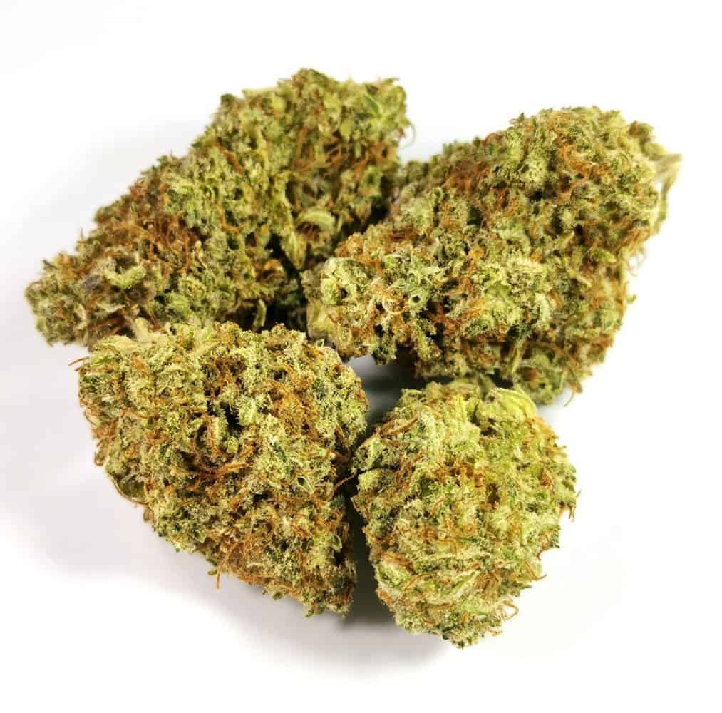 lilac diesel review picture of cannabis