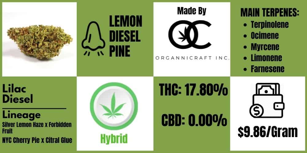 lilac diesel review infoblock
