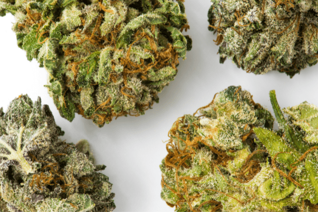 a bunch of power sherb strain nugs