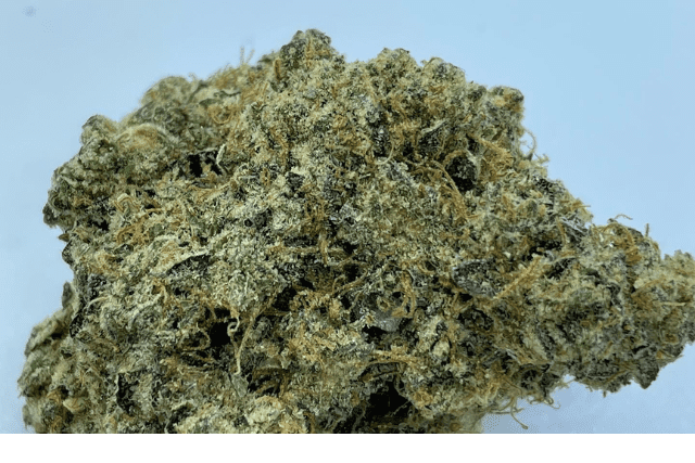 billy's pheno strain