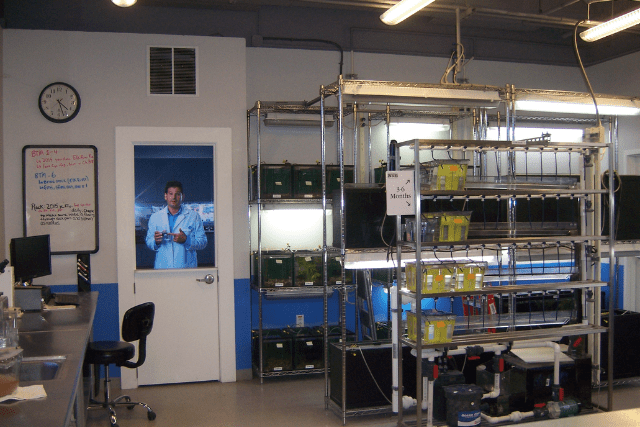 cannabis oil extraction lab