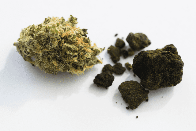 hashish and marijuana buds