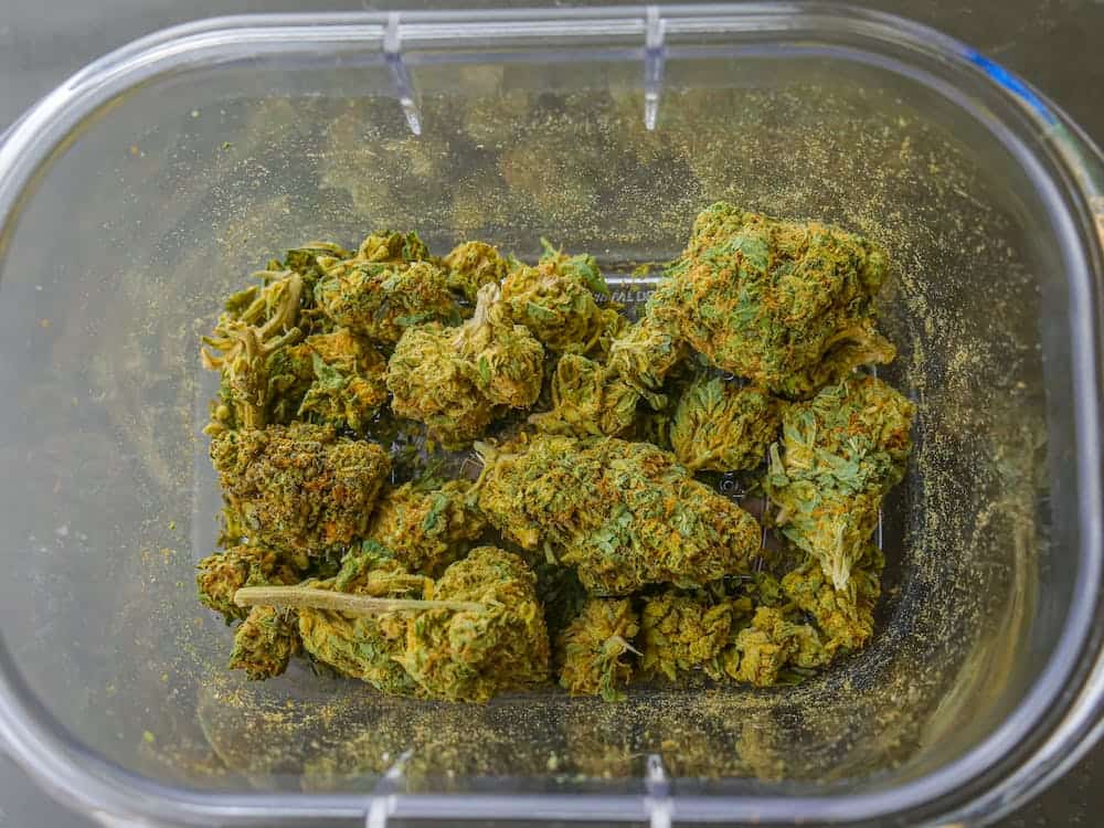 purple monikey strain buds on a glass container