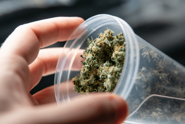 grasslands sativa on a transparent plastic cup