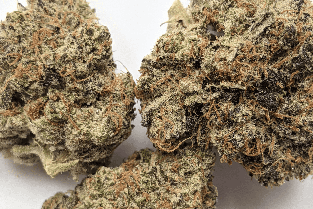 hidden pastry strain - big nugs