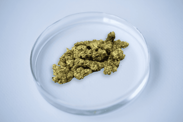 stuffed french toast nug in a petri dish