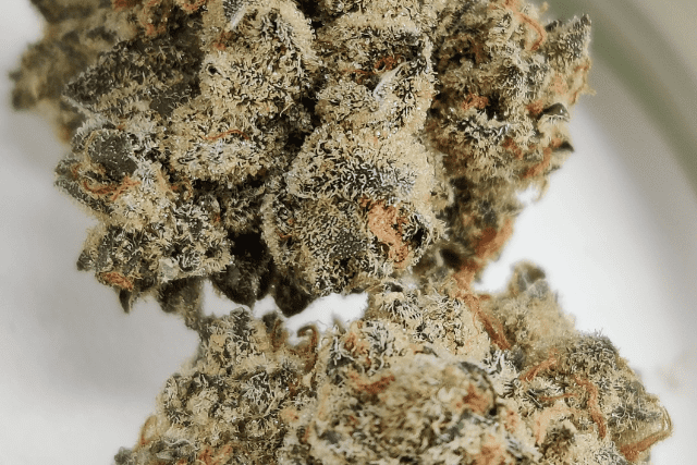 stuffed french toast up close