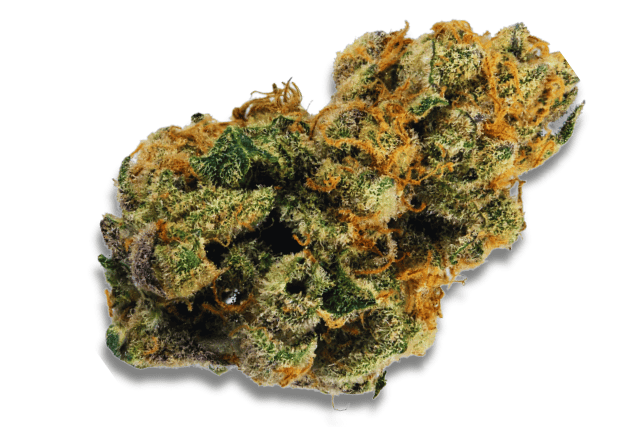 9LB Hammer strain