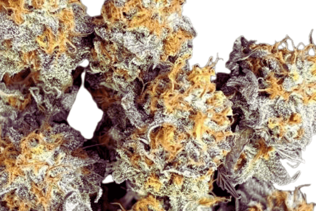 caramel apple gelato - featured image