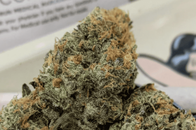 chem glue review