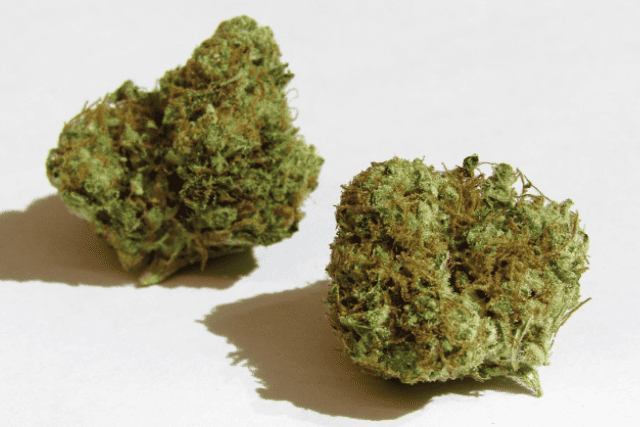 chem glue strain