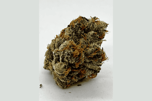 guava bars nug
