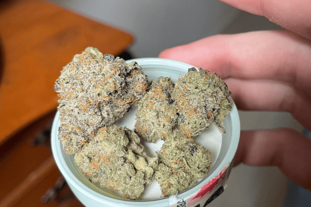 Icicles strain
