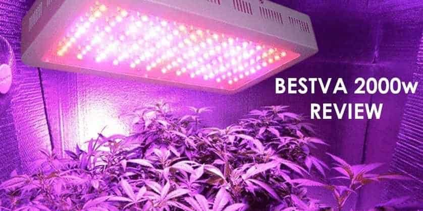 Bestva 2000W LED Grow Light Review