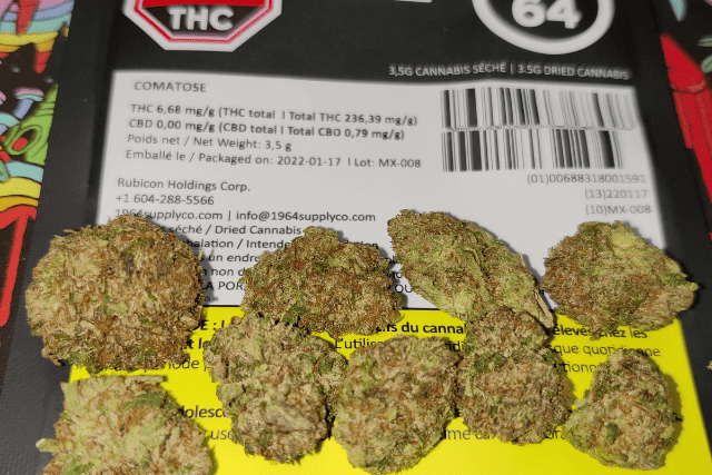 comatose - opened pack
