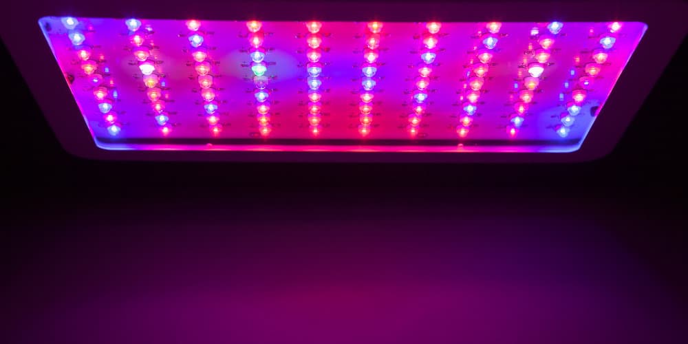 galaxyhydro 300W grow light setup