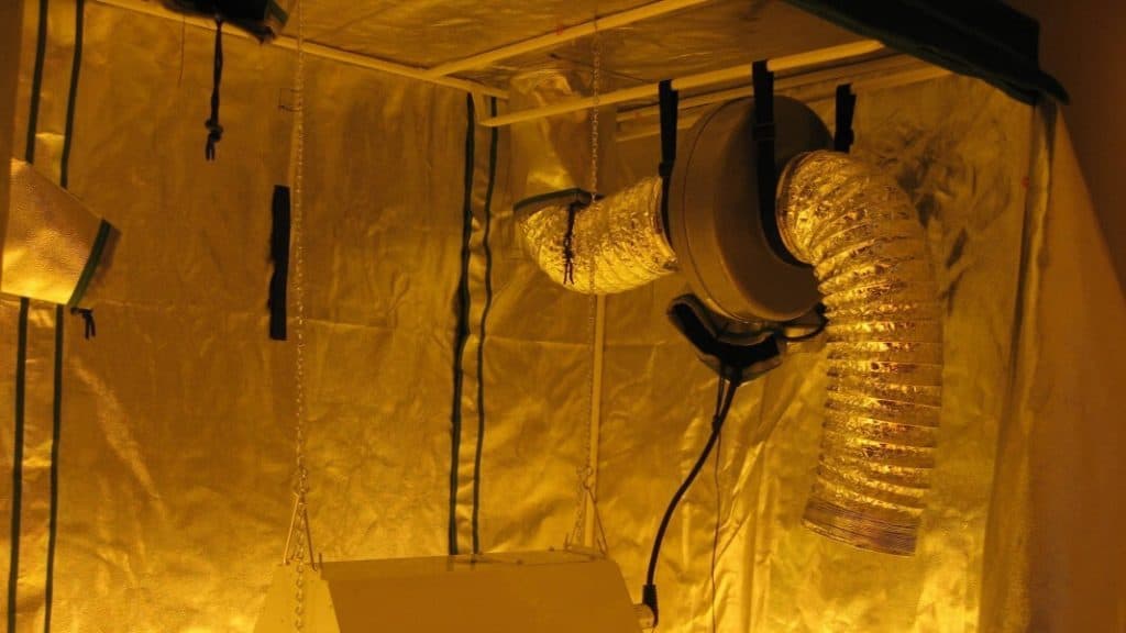 inline fan and ducts hanging along grow room wall