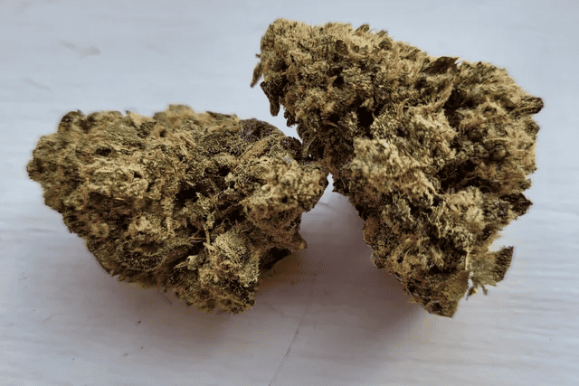 krypto kush - strain