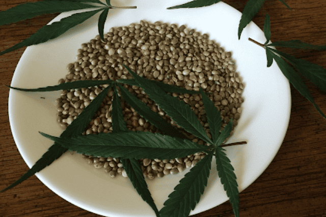marijuana seeds
