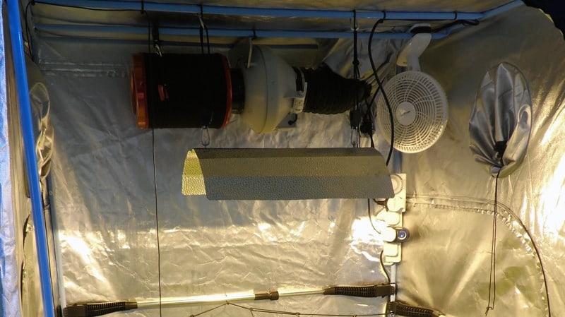 oscillating fan in corner of grow tent