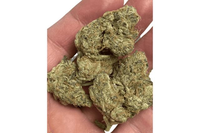 sapphire cookies strain