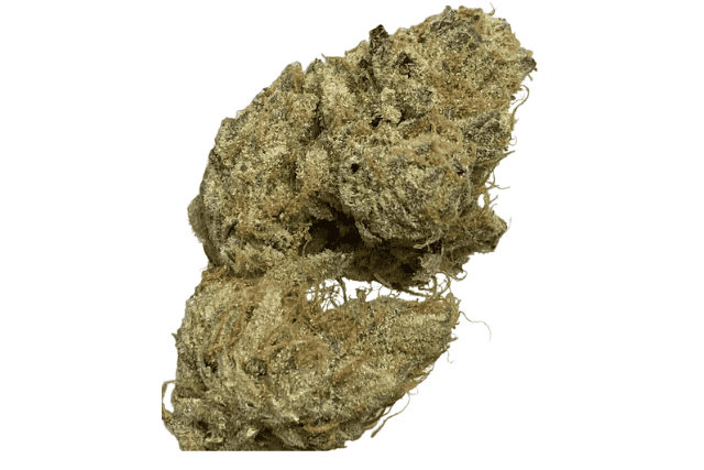 sapphire cookies strain - featured image